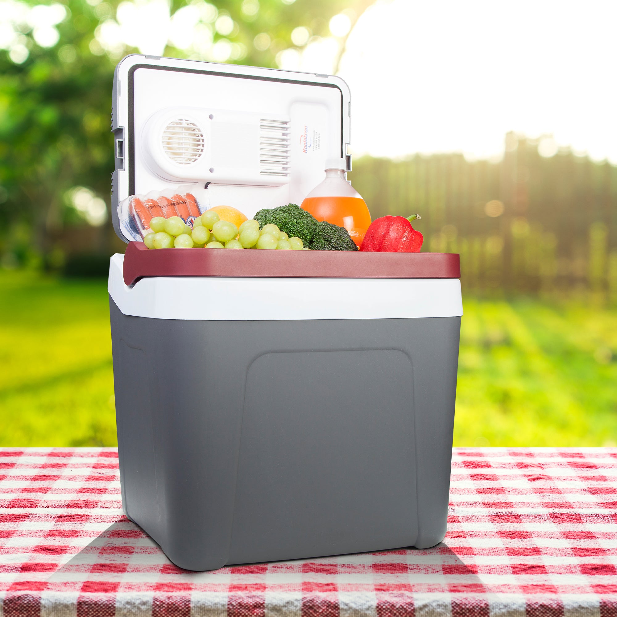 Electric newest cooler